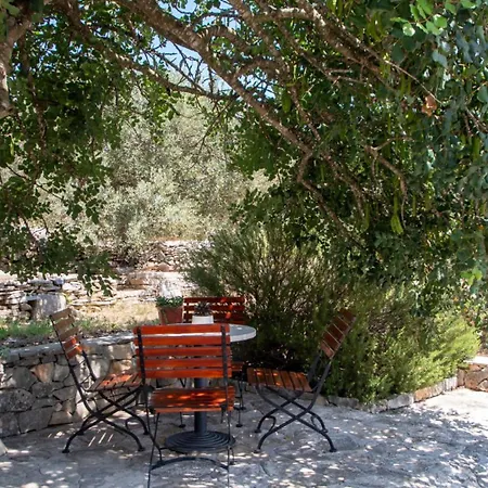 Holiday Home Roza With Whirlpool By Villas Guide * Vela Luka