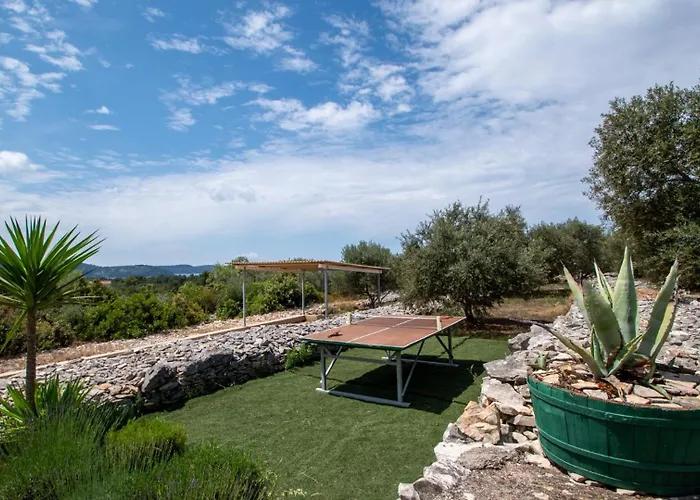 Holiday Home Roza With Whirlpool By Villas Guide Vela Luka